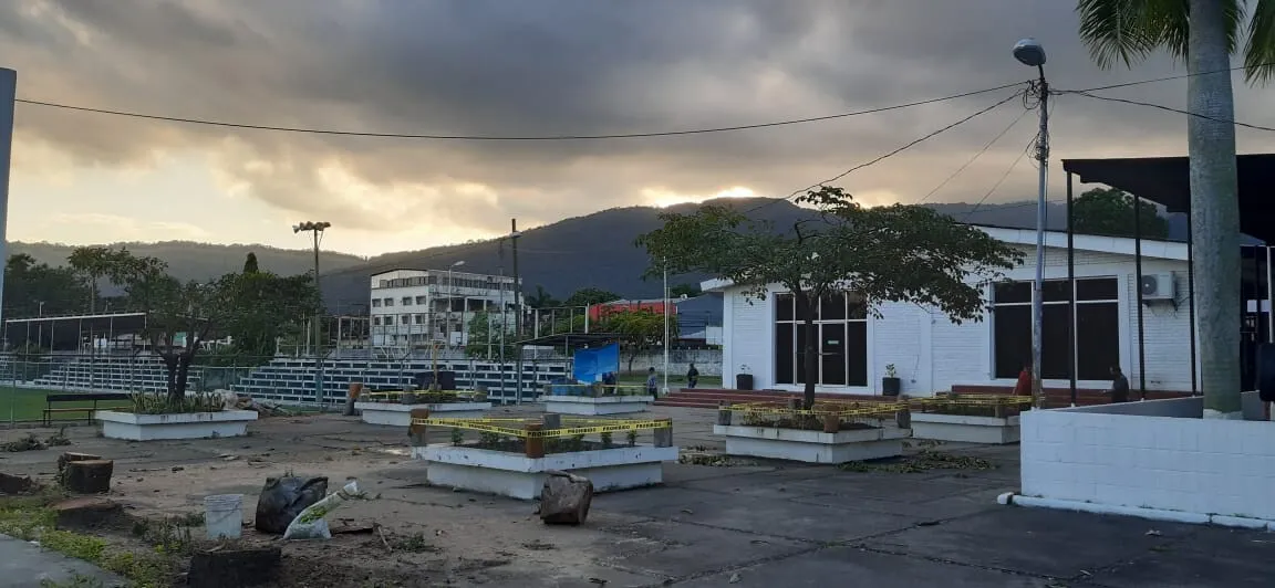 Municipalidad de San Pedro Sula; amiga del cemento, enemiga de los árboles