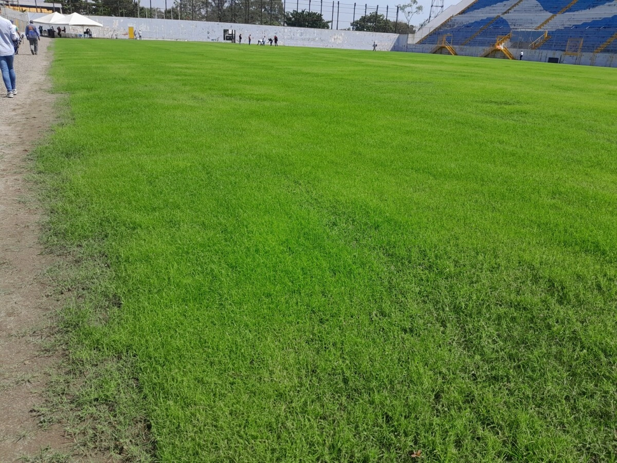 Les Hicieron Ponga A Condeporhn Y San Pedro Sula Con El Estadio Morazán